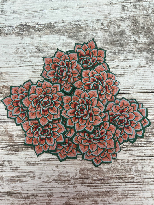 Green and pink succulent - Iron On Patch