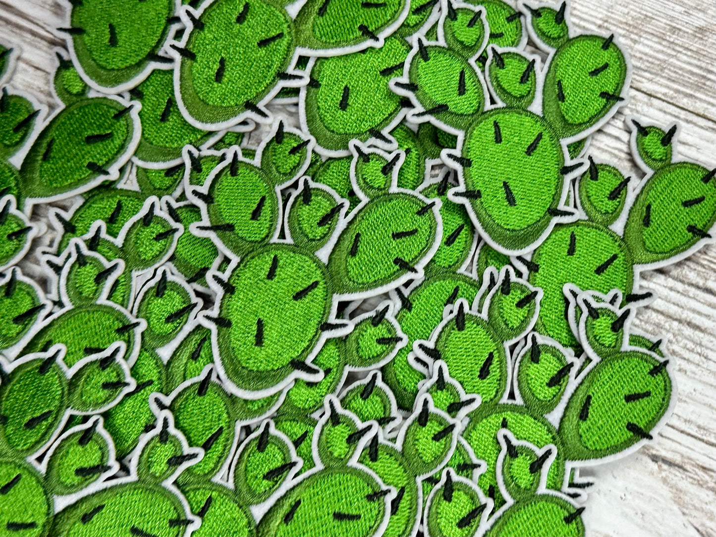 Prickly Cactus - Iron on Patch